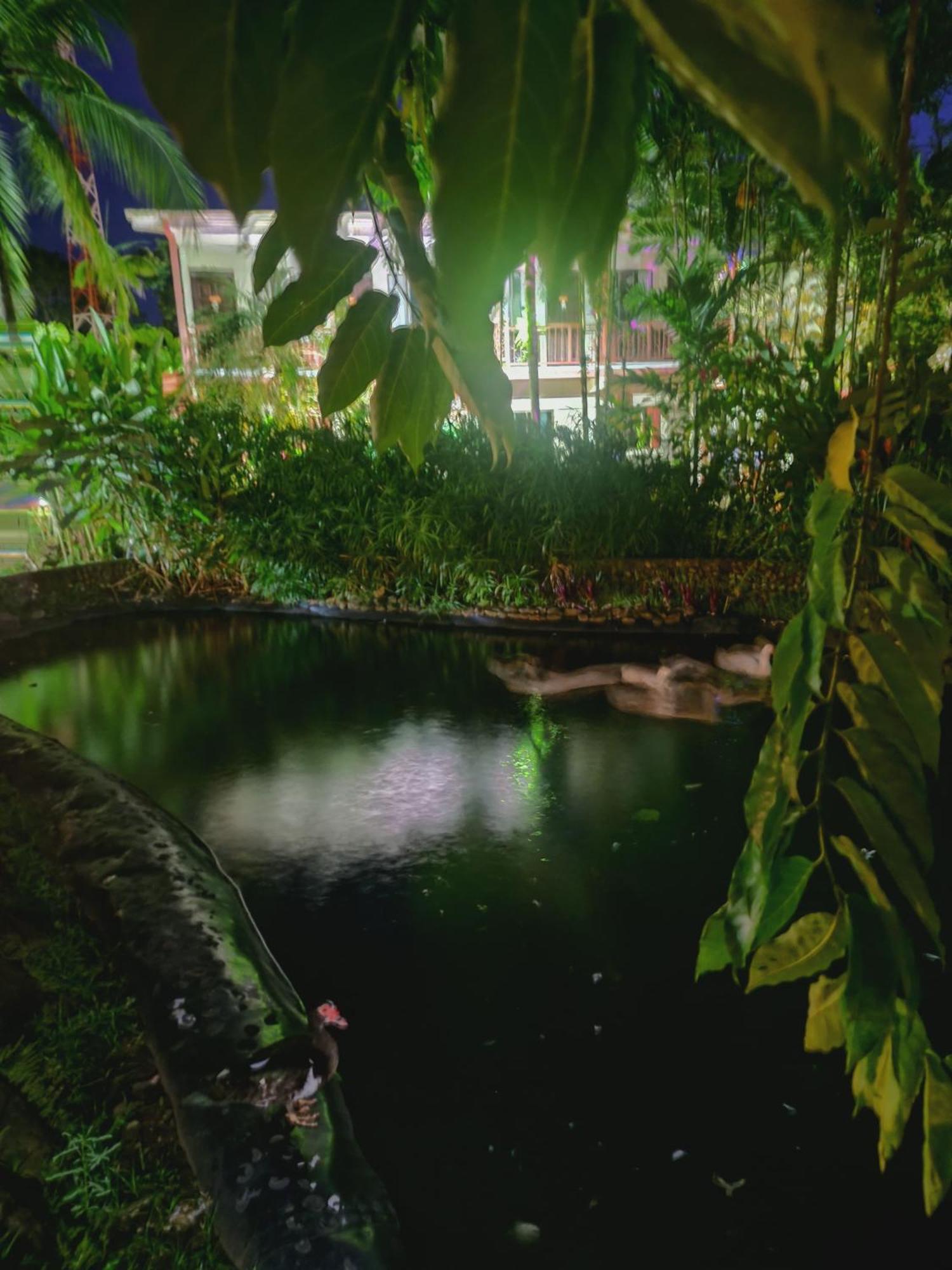 Diuwak Hotel Dominical Kültér fotó
